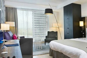 Radisson-Blu Lampshades shown at Radisson Blu Hotel